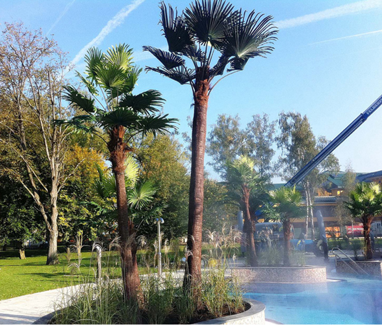 奥地利温泉水疗中心棕榈树
