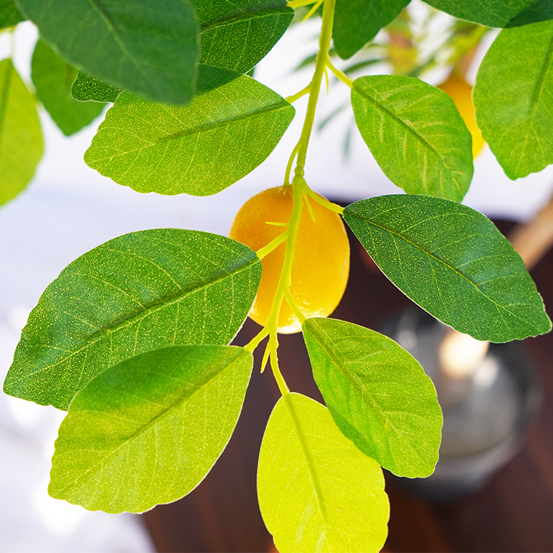 仿真柠檬树
