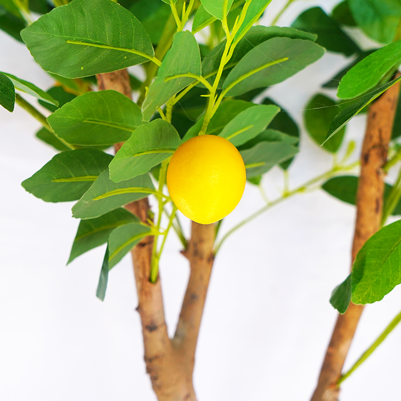 仿真柠檬树