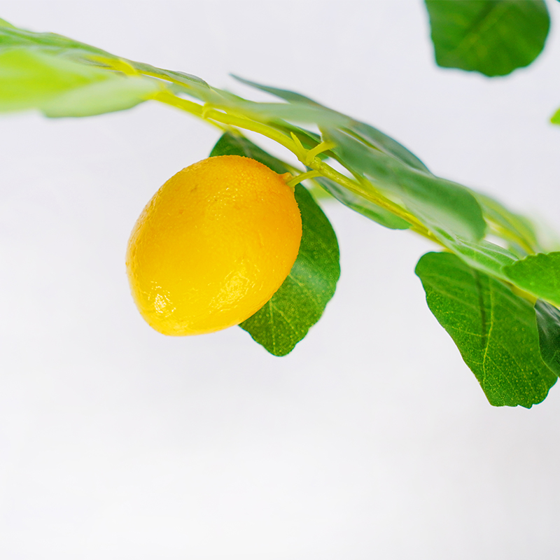 仿真柠檬树