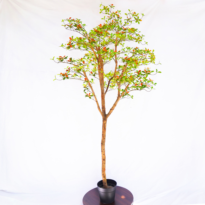 仿真海南春花树
